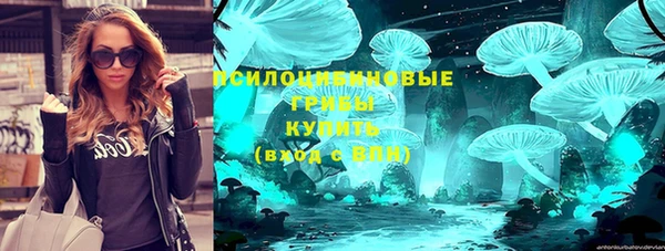 таблы Заводоуковск