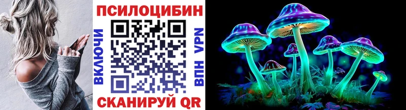 Купить  Осинники  Псилоцибиновые грибы MAGIC MUSHROOMS 