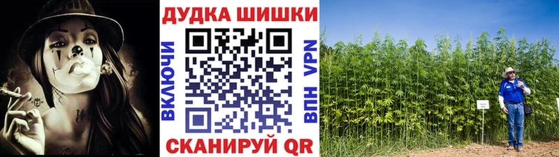 Купить закладки  Осинники  Бошки марихуана AK-47 